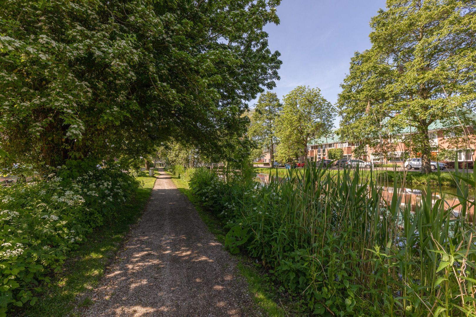 Foto 48 van Leeuwarderkade 22