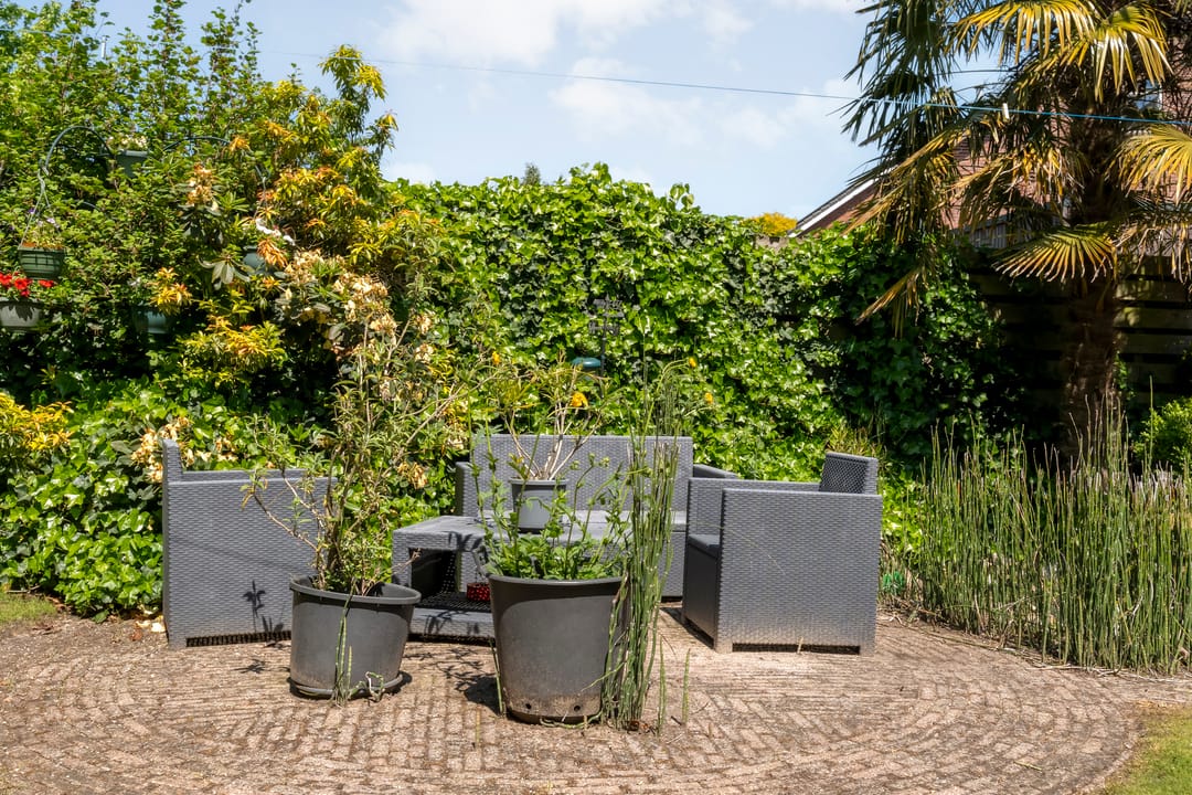 Photo 43 of de Schouw 30