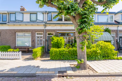 Boerhaavestraat thumbnail