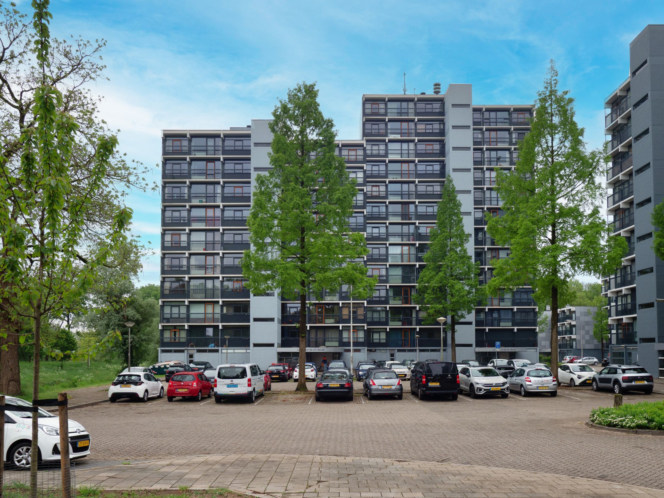 Photo 21 of Lankforst 5619