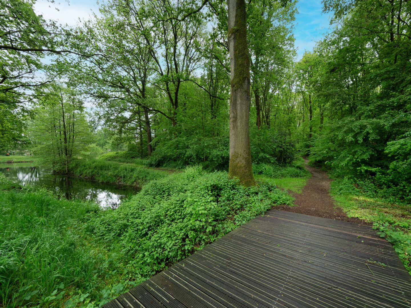 Photo 19 of Lankforst 5619