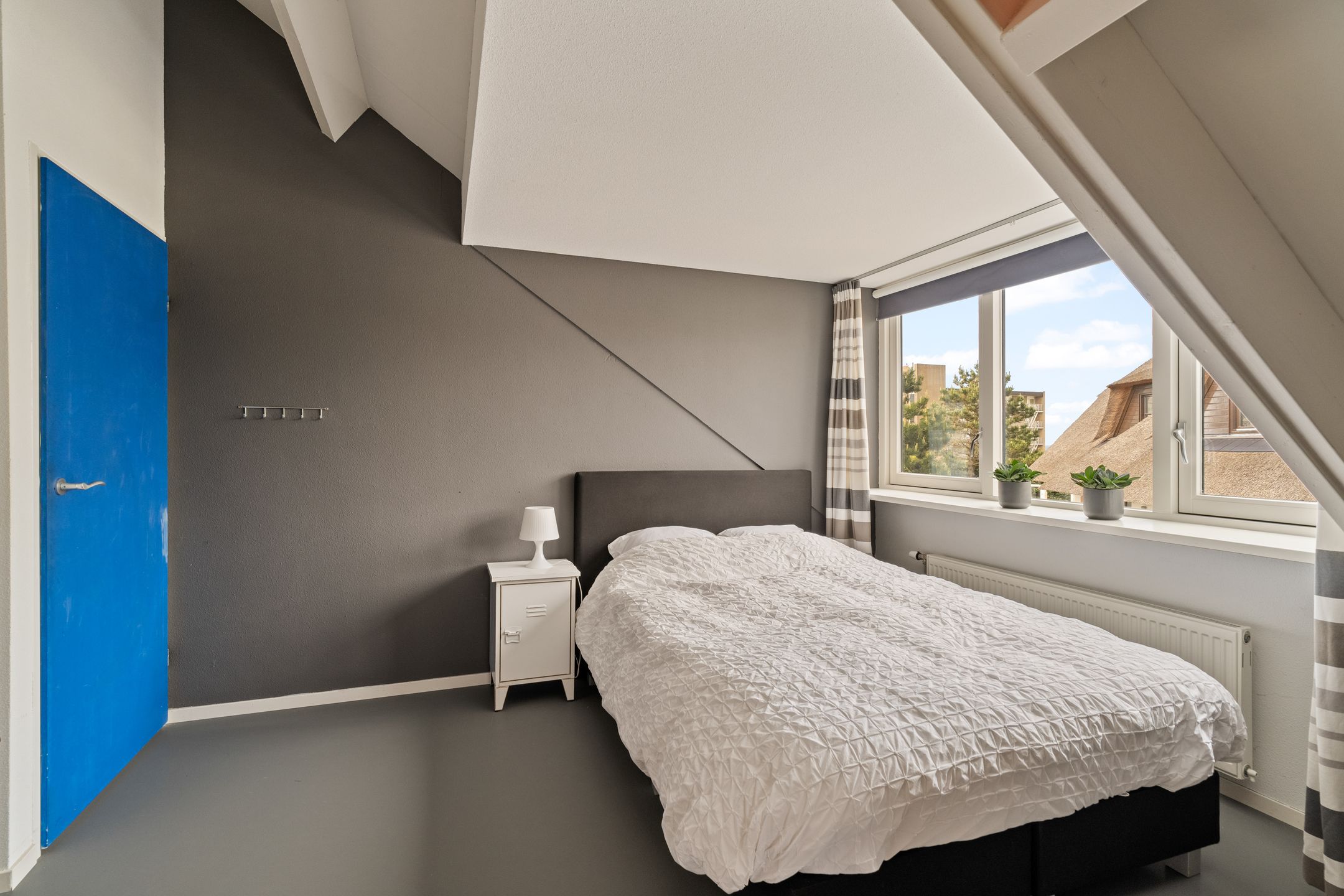 Photo 42 of Sole Miopark 2