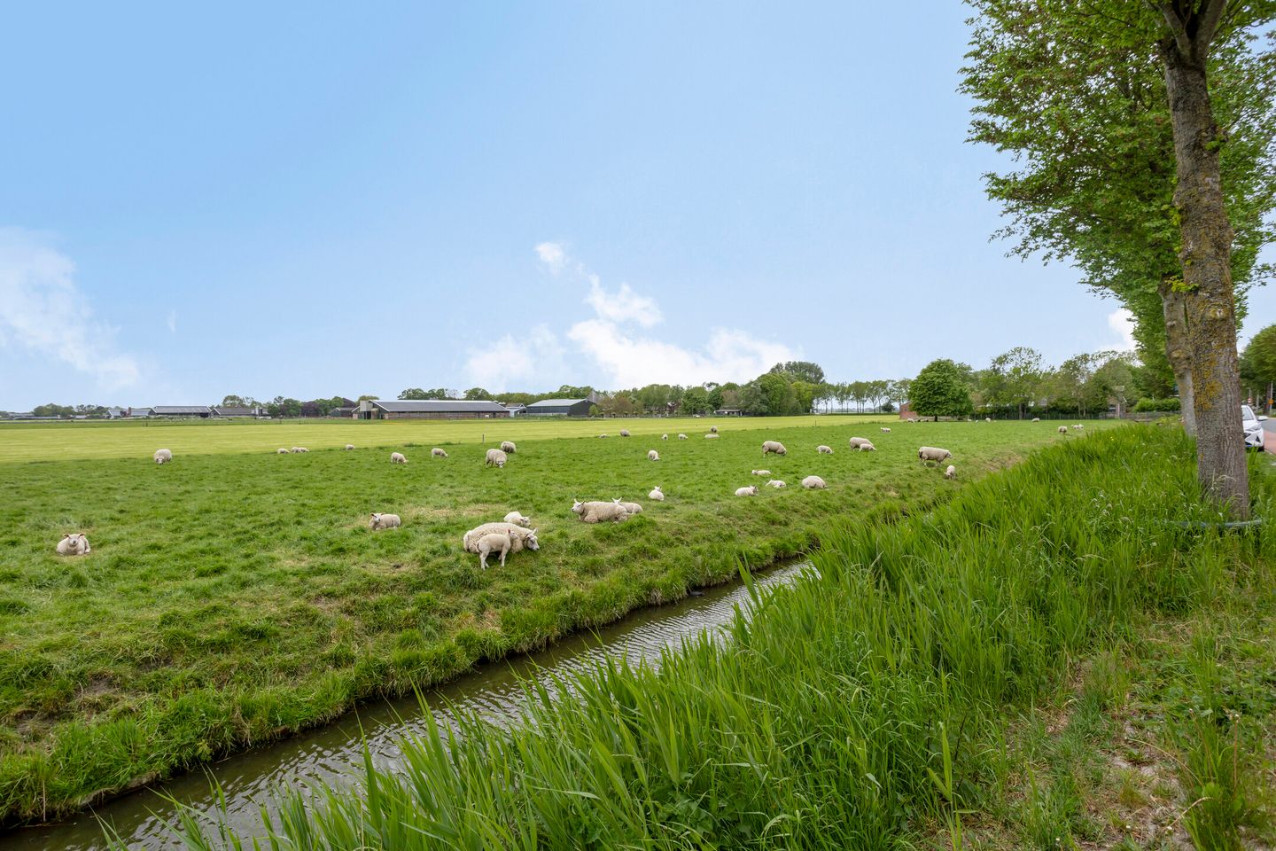 Photo 65 of Oosthuizerweg 50