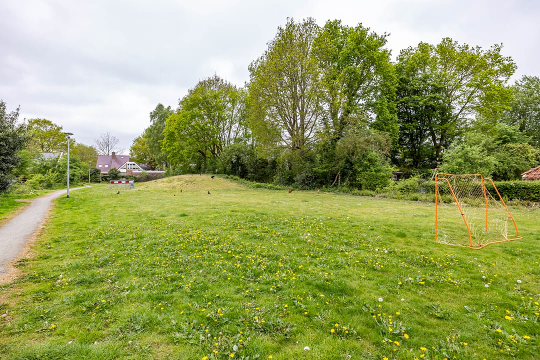 Photo 56 of Anssen 14