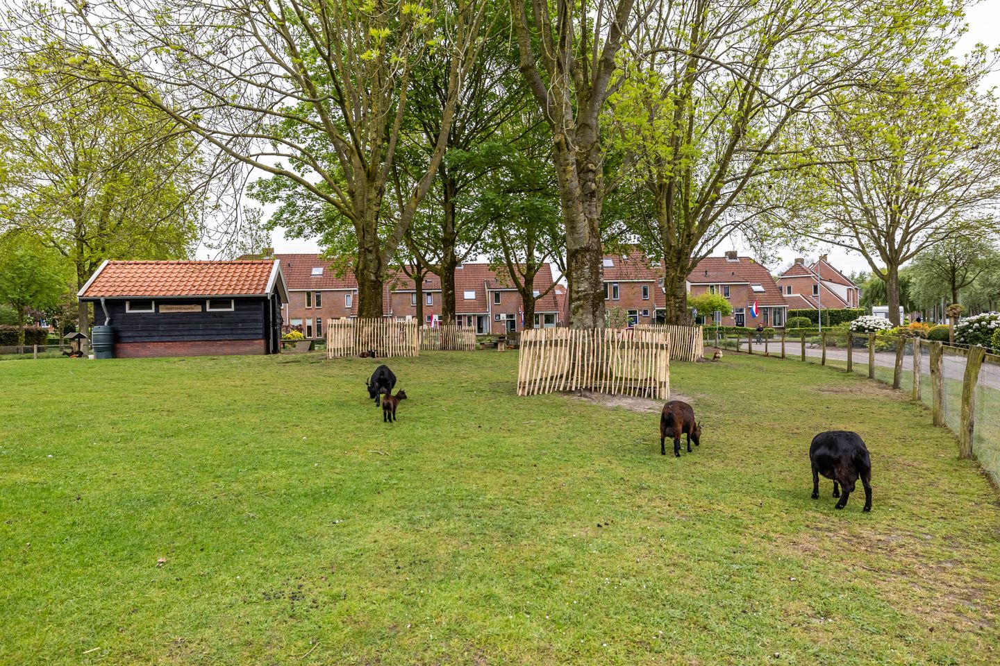Photo 59 of Anssen 14
