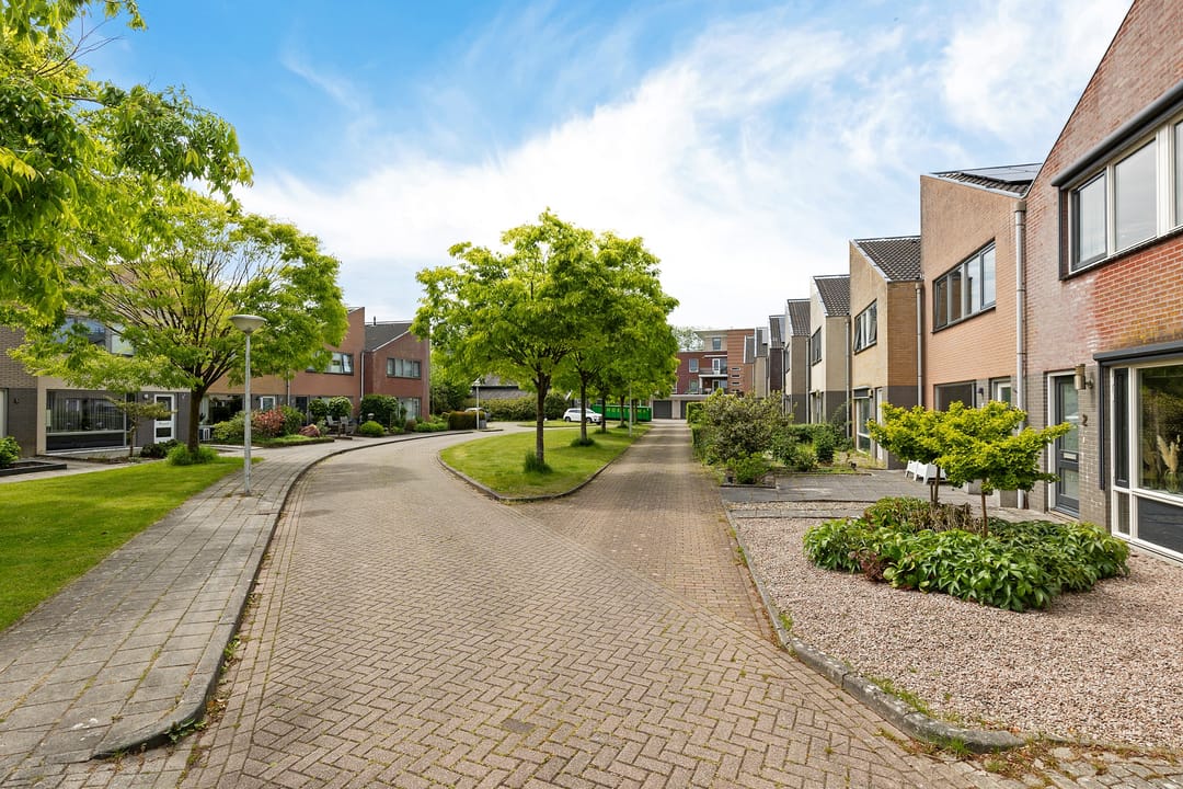 Foto 41 van De Swaan 2