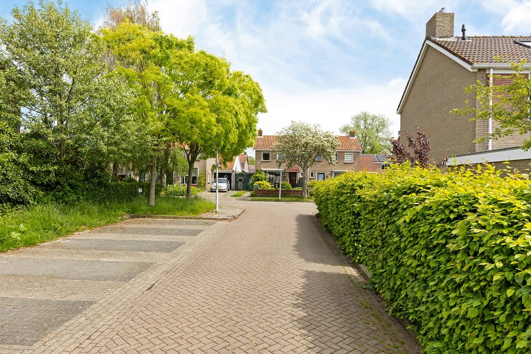Foto 43 van De Swaan 2
