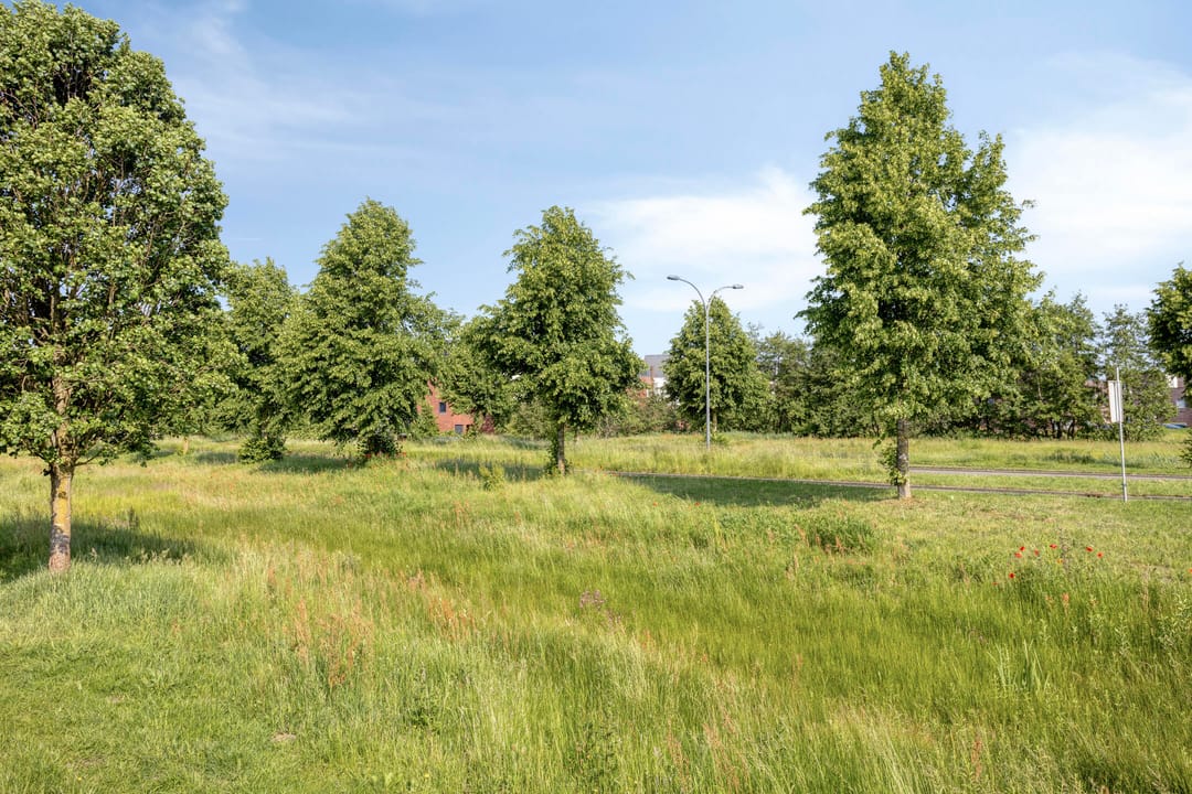 Photo 32 of Villa Spaanse Ruiter 28