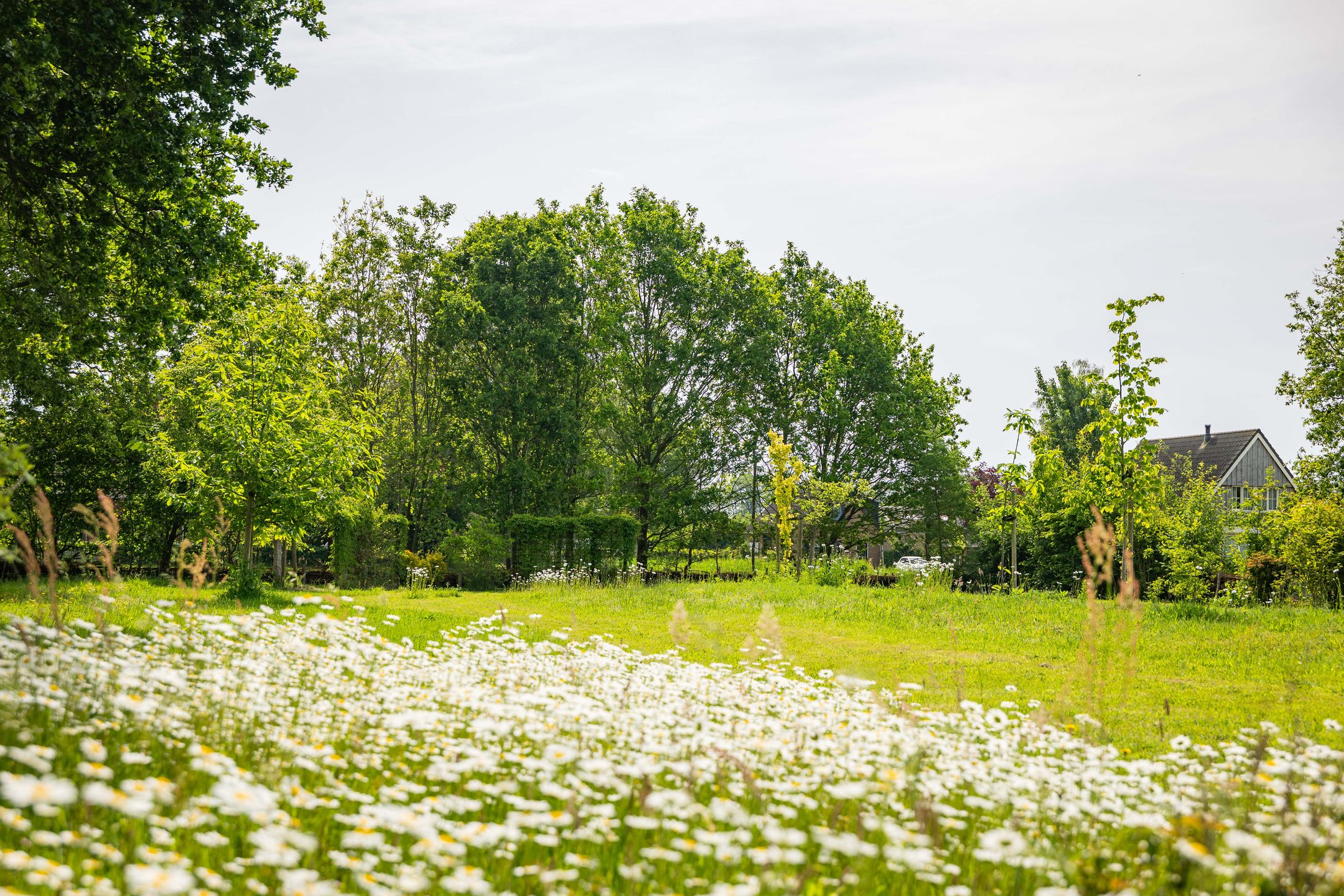 Photo 39 of Hooislagen 7-C