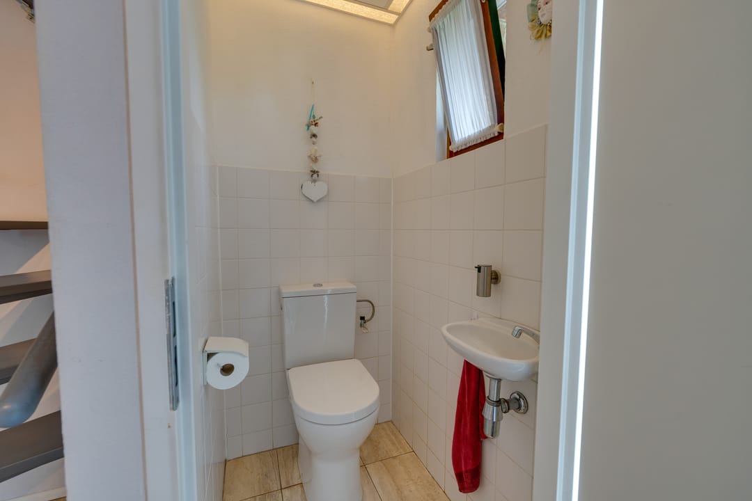 Photo 38 of Scholekster 26