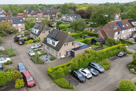 Scholekster thumbnail