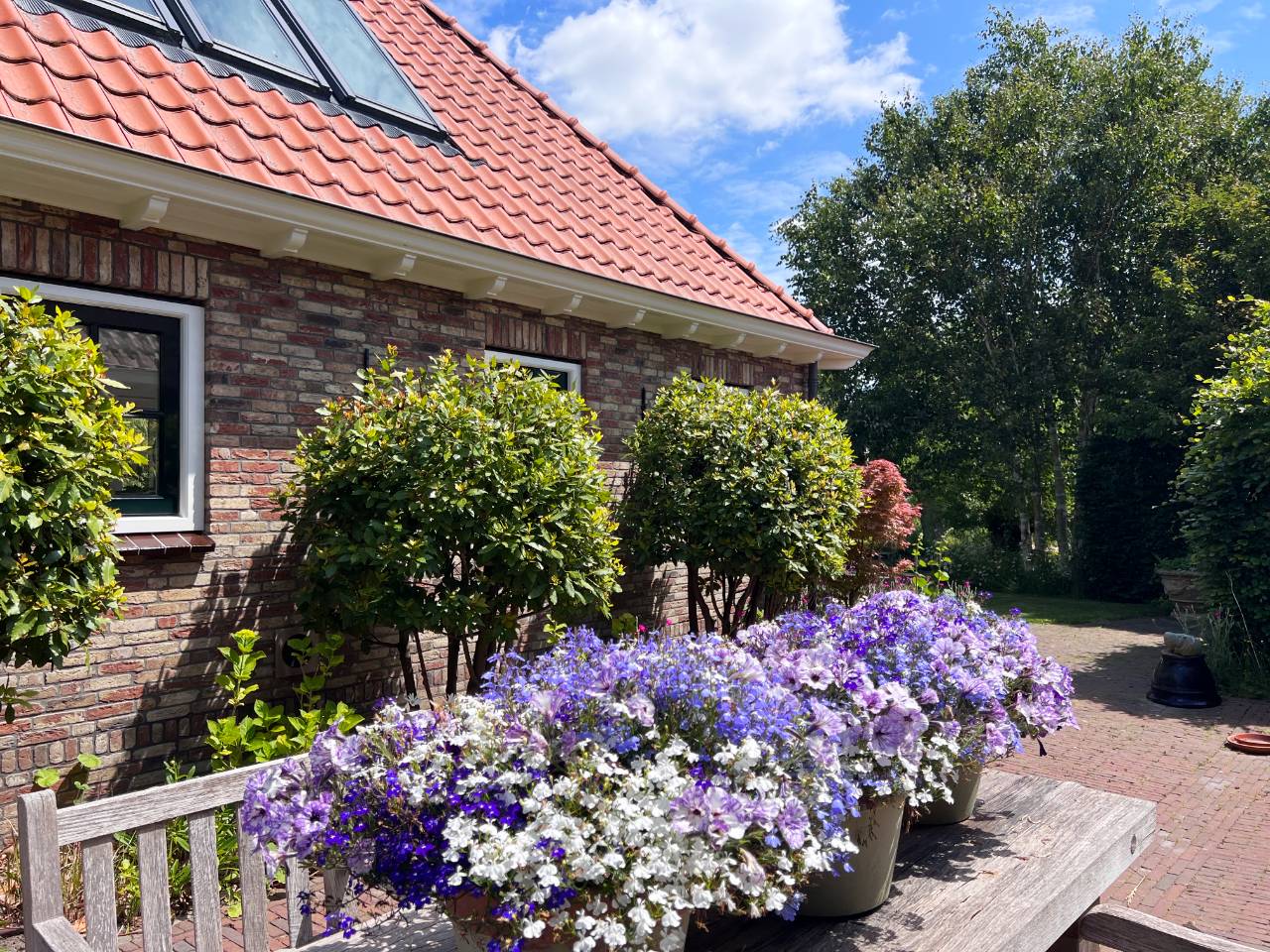 Photo 20 of Zeedijk 3