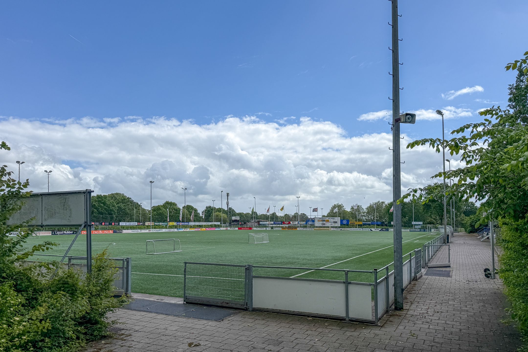 Photo 60 of Scholekster 26