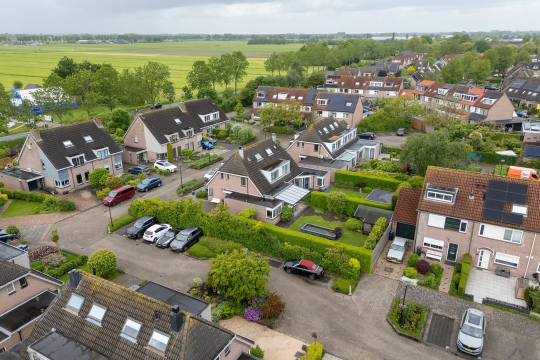 Photo 58 of Scholekster 26