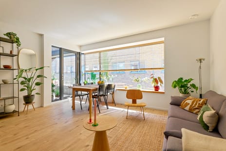 Kaasjeskruidstraat thumbnail