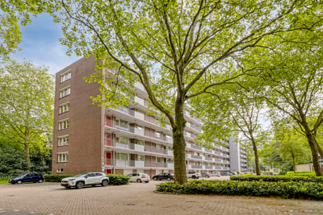 Cederstraat thumbnail
