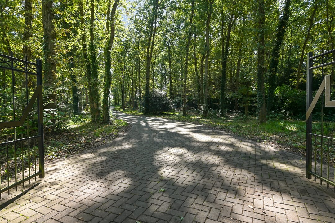 Foto 7 van Raaphorstlaan 19-D