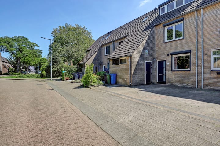 Foto 3 van Hobo 8