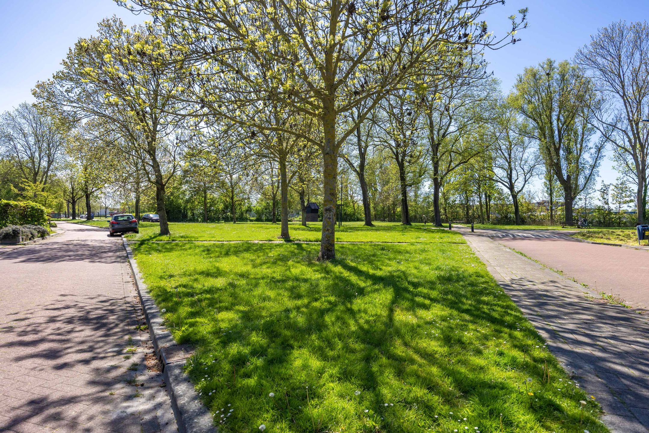 Photo 18 of Willem Bilderdijkstraat 7