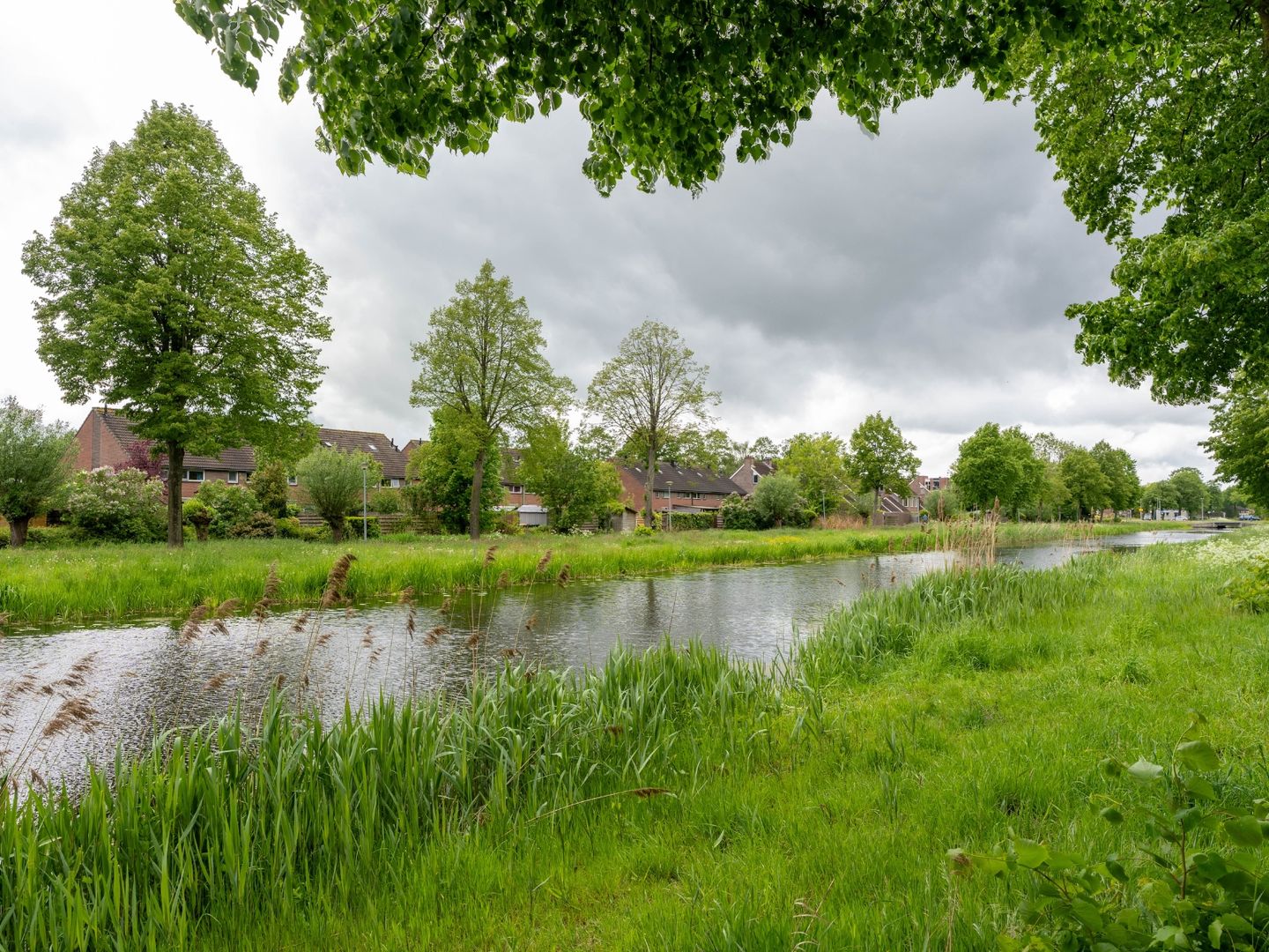 Photo 44 of Speenkruid 130