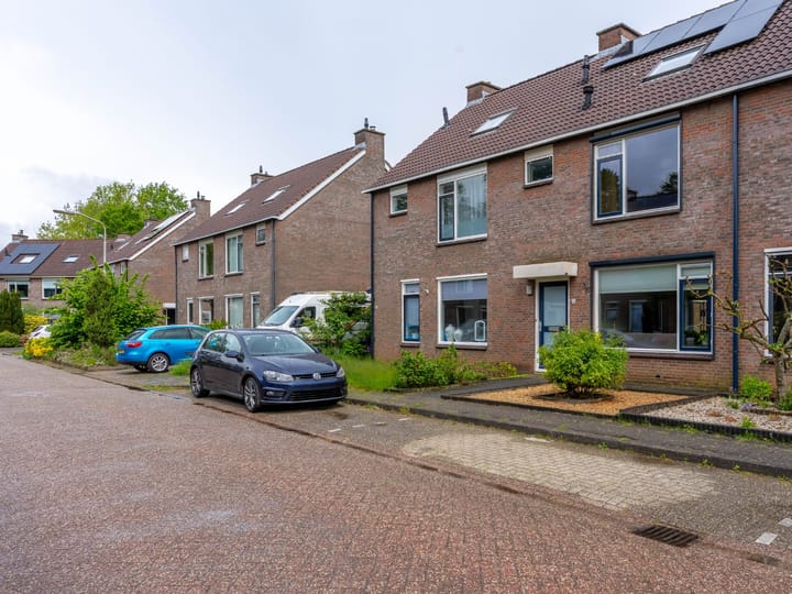Foto 4 van Speenkruid 130