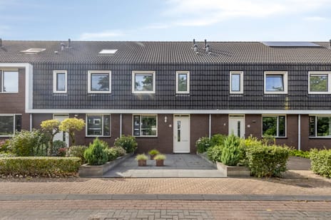 Populier thumbnail