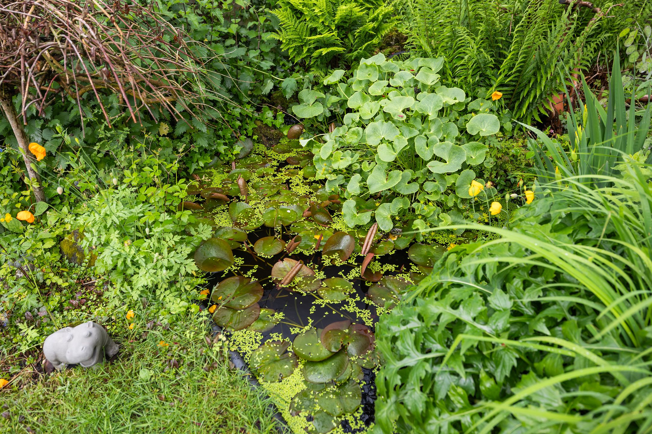 Photo 15 of Westerlaan 10