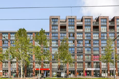 Franz Zieglerstraat thumbnail