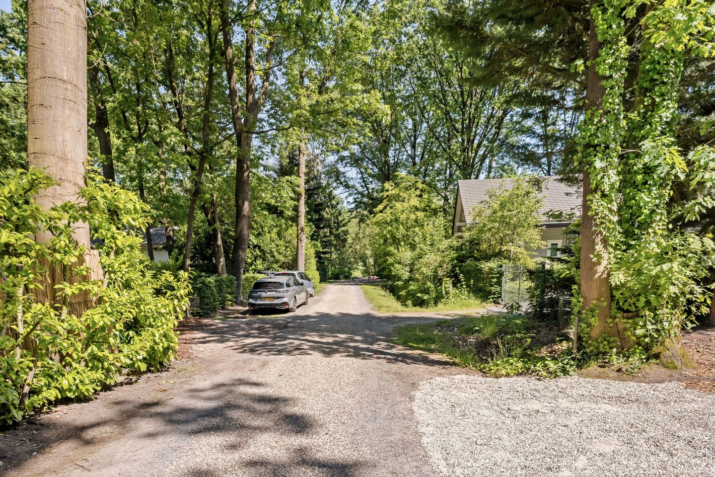 Foto 49 van De Stille Wille 51