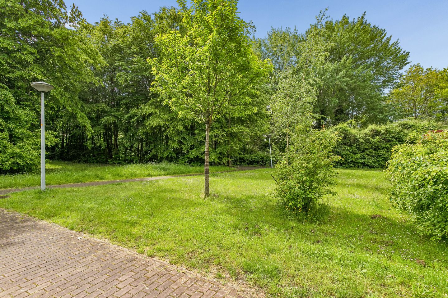Photo 34 of Tuinderswerf 1