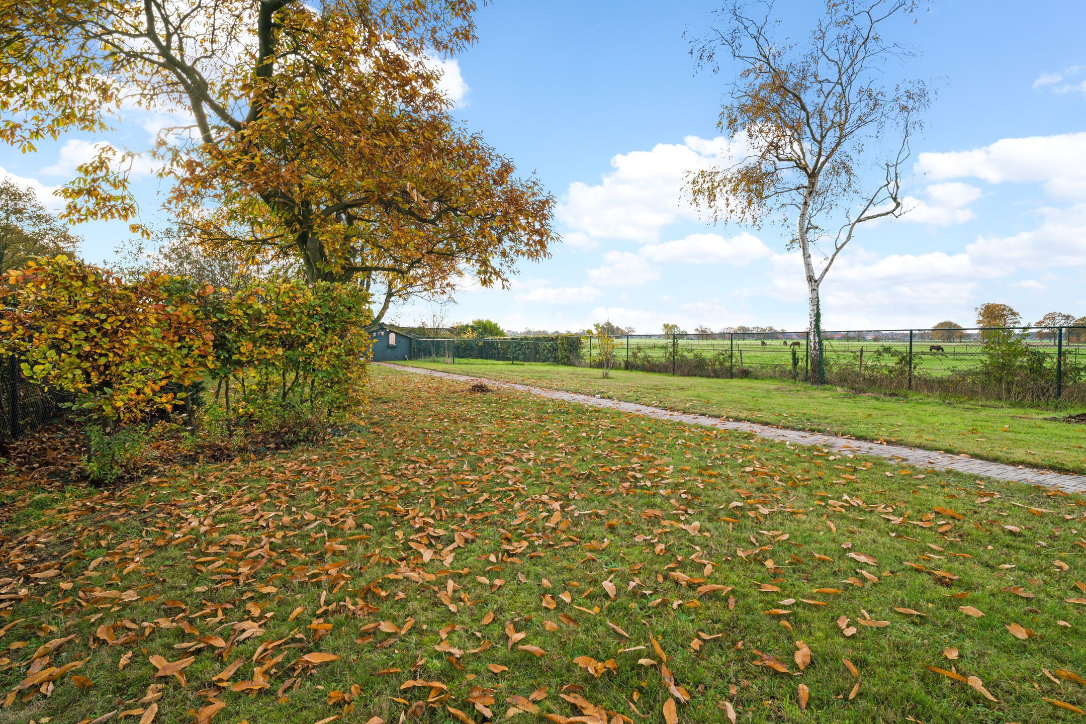 Photo 36 of Vleetweg 12