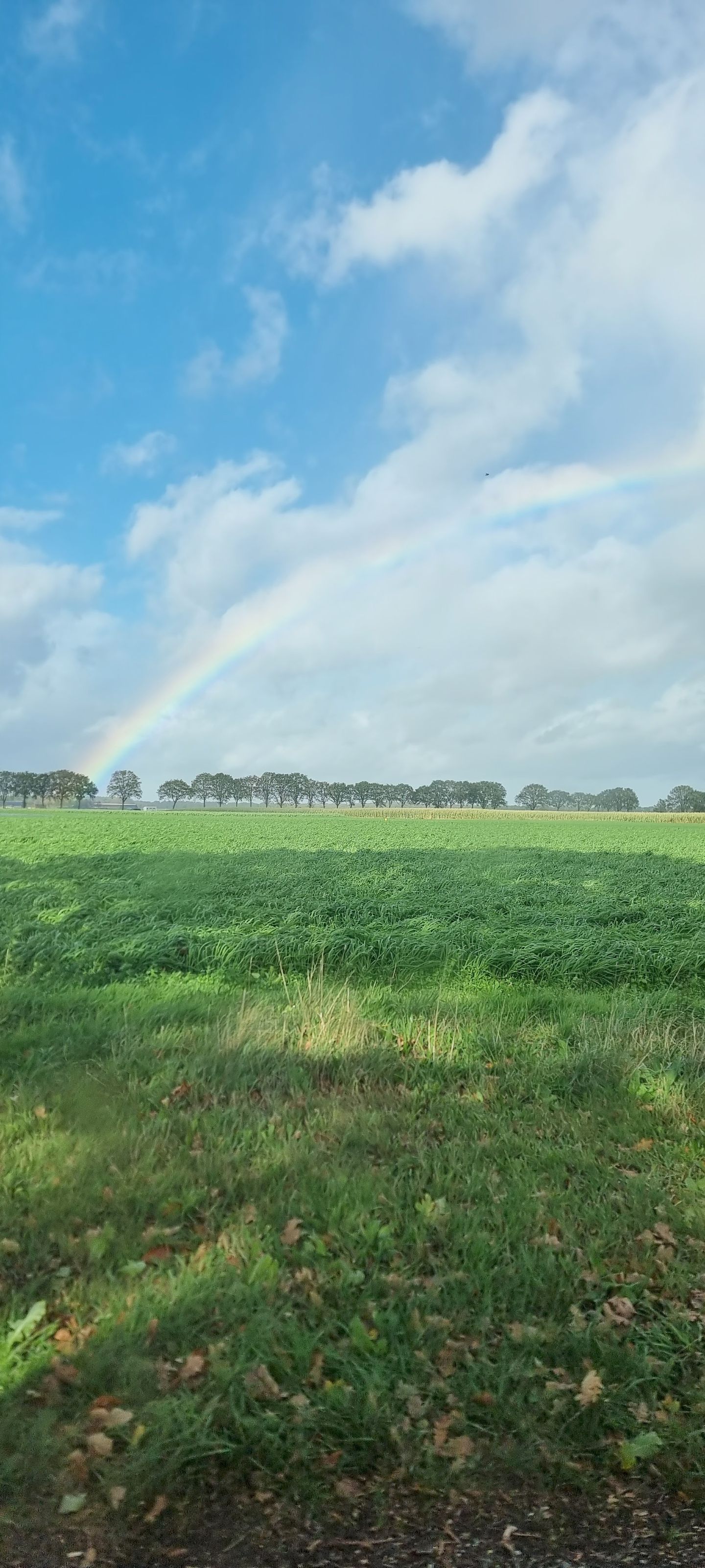 Photo 65 of Vleetweg 12