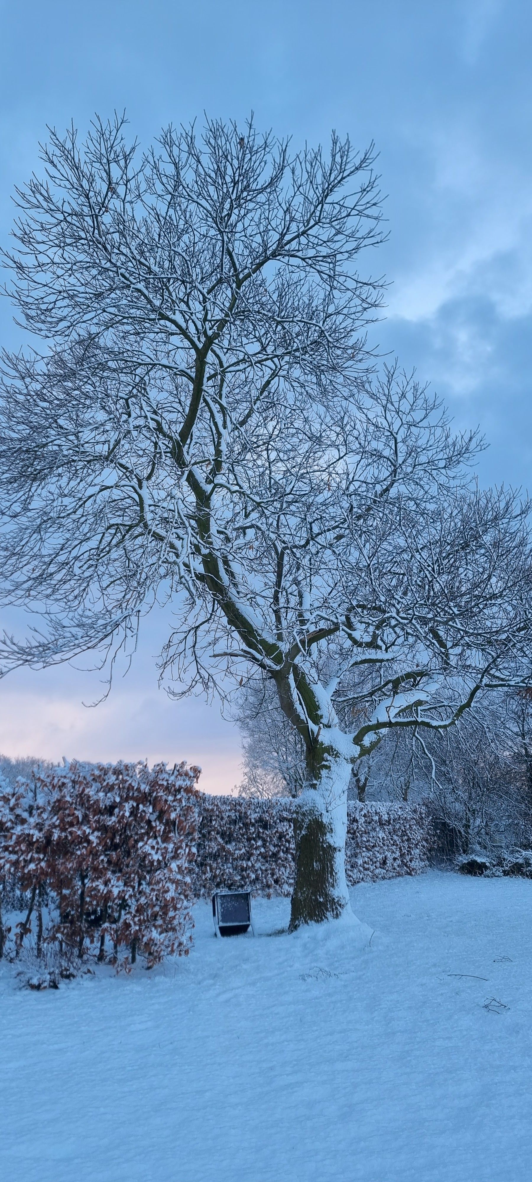 Photo 69 of Vleetweg 12