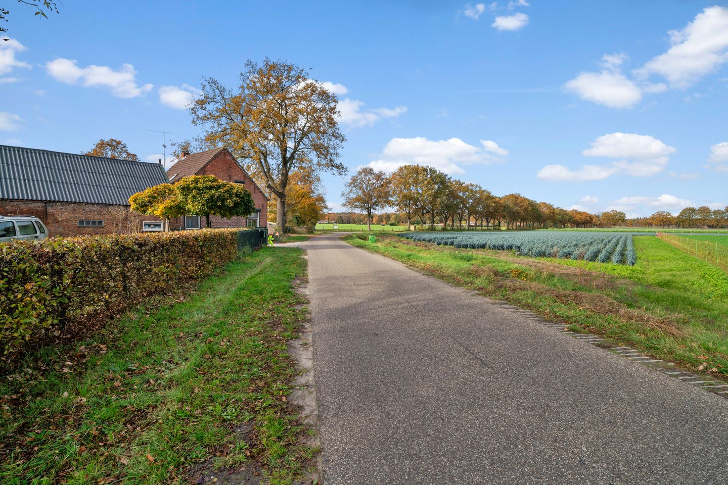 Photo 55 of Vleetweg 12