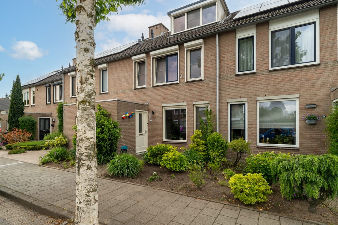 Photo 2 of Hoefblad 56