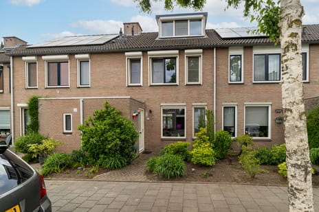 Hoefblad thumbnail