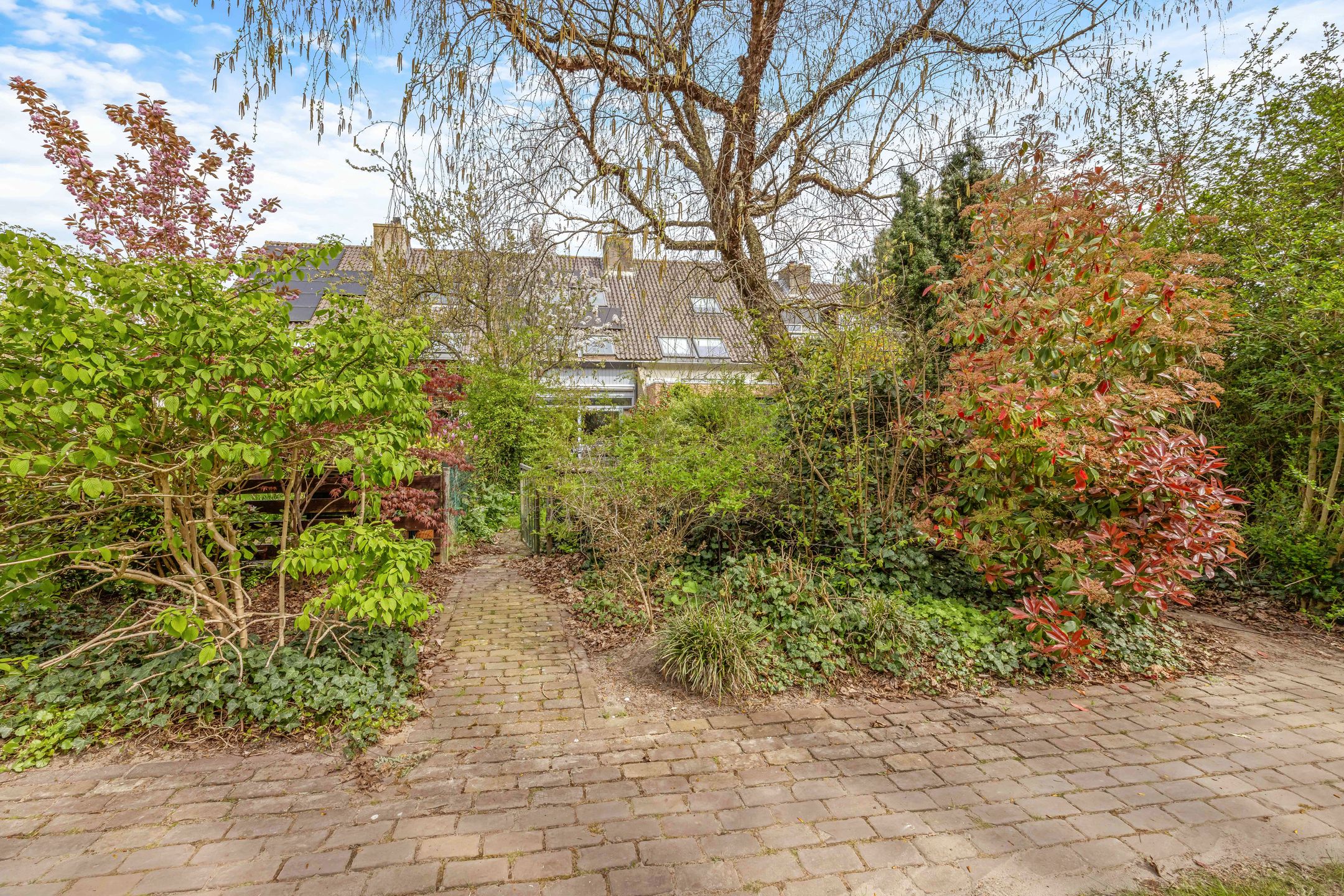 Photo 42 of Het Wedde 81