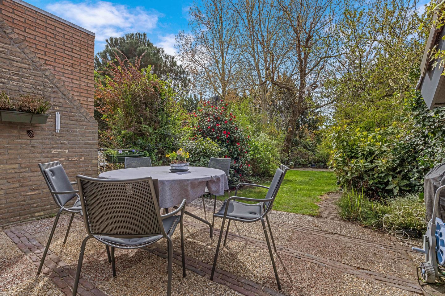 Photo 34 of Het Wedde 81