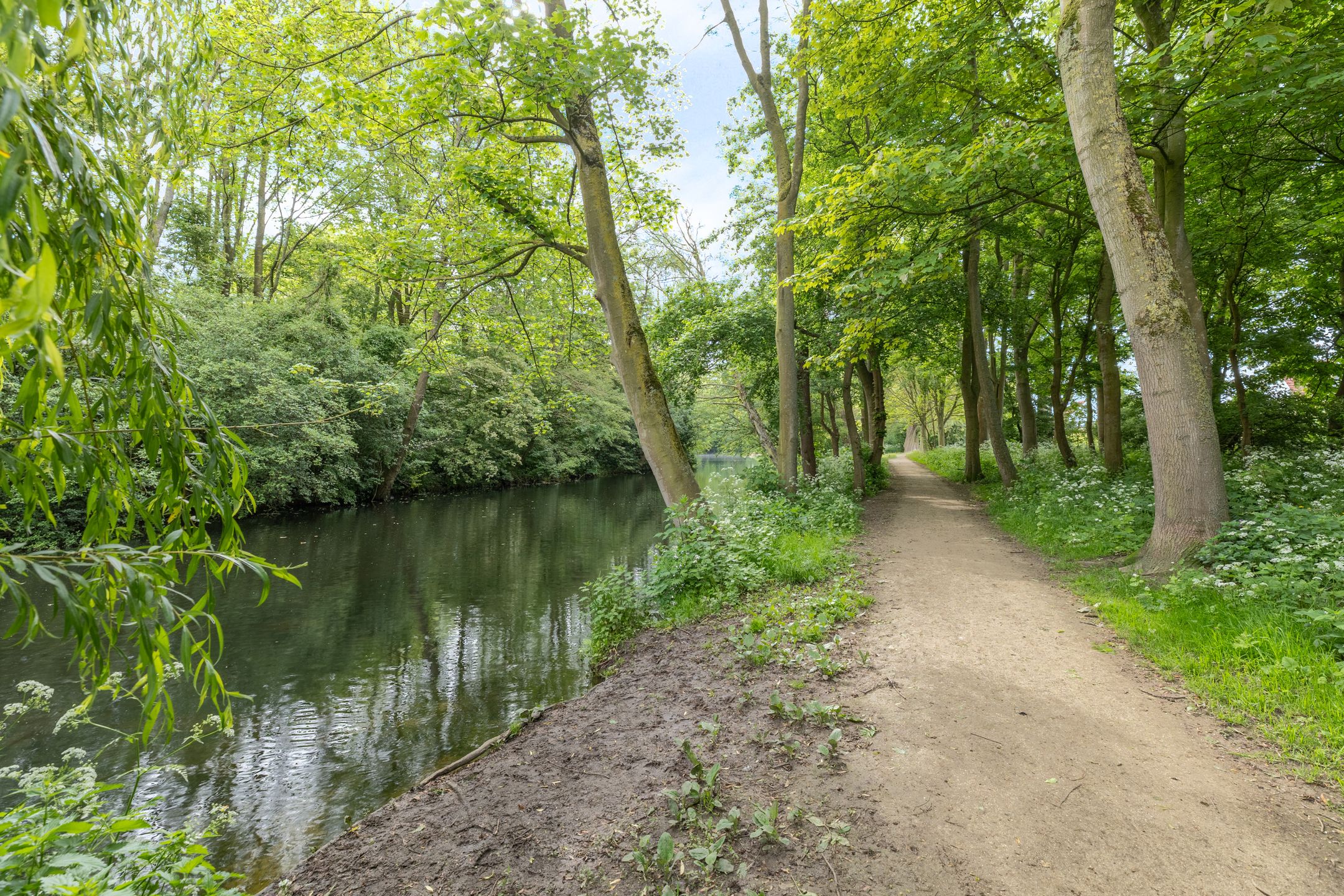 Foto 45 van Gele Varaan 15