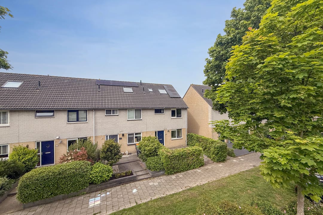 Foto 41 van Gele Varaan 15