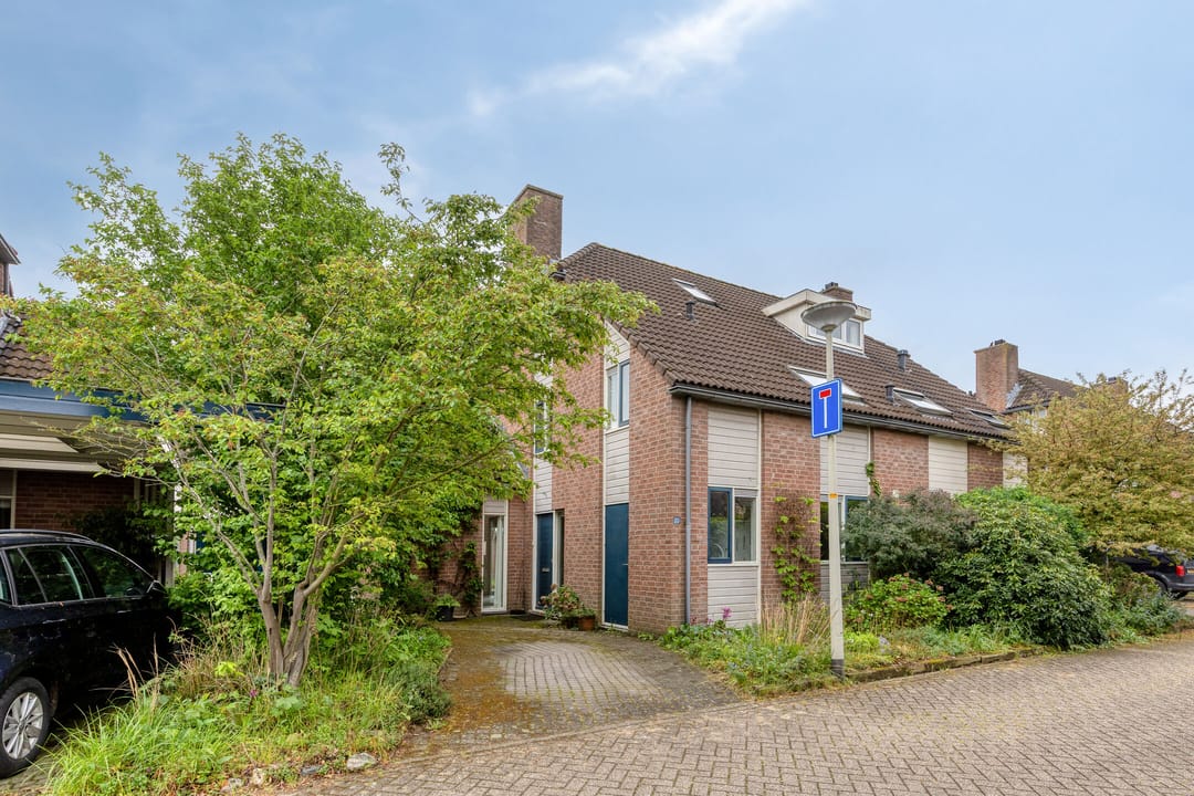 Foto 1 van Gerst 20