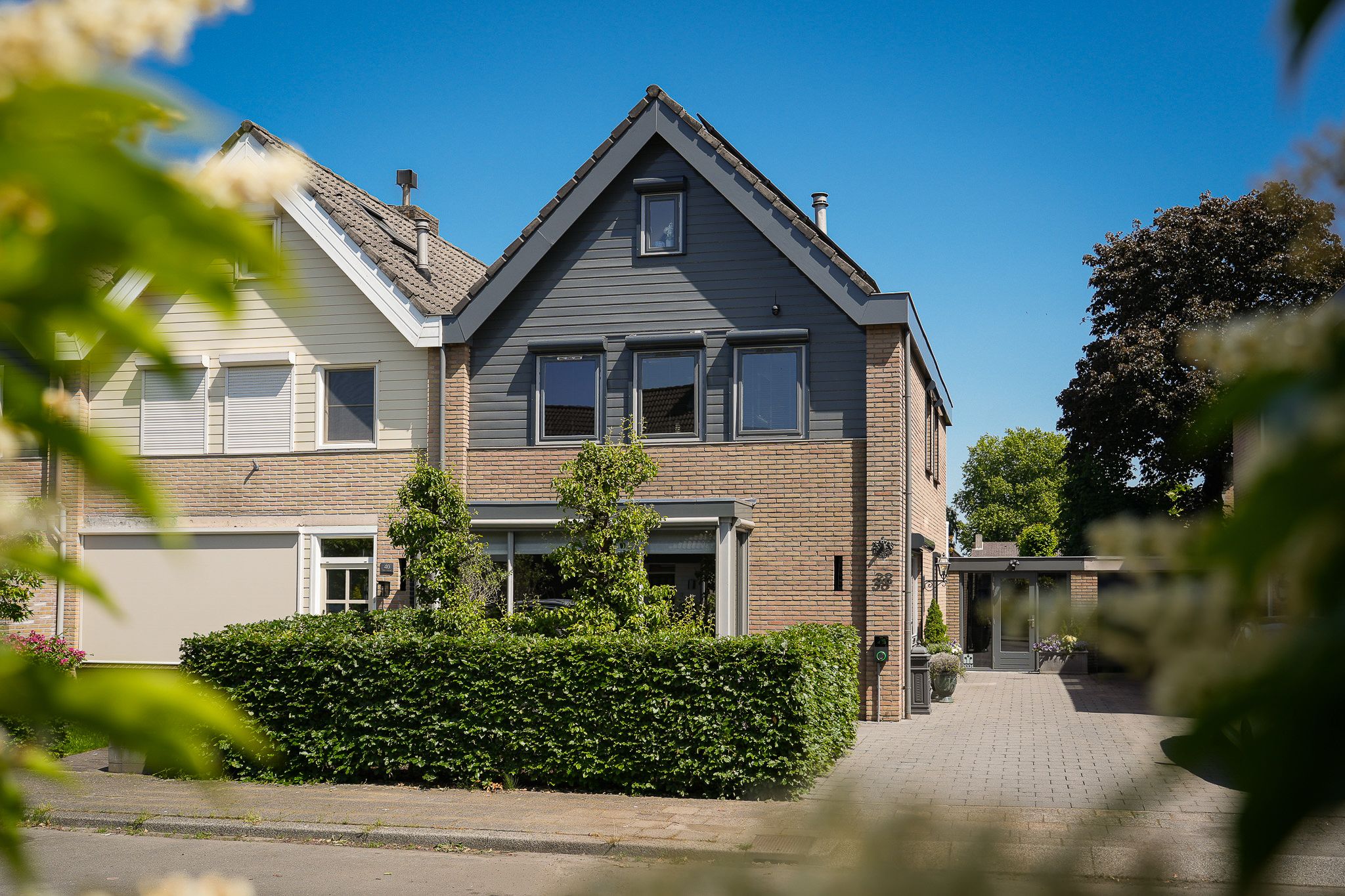 Maaskant 38 