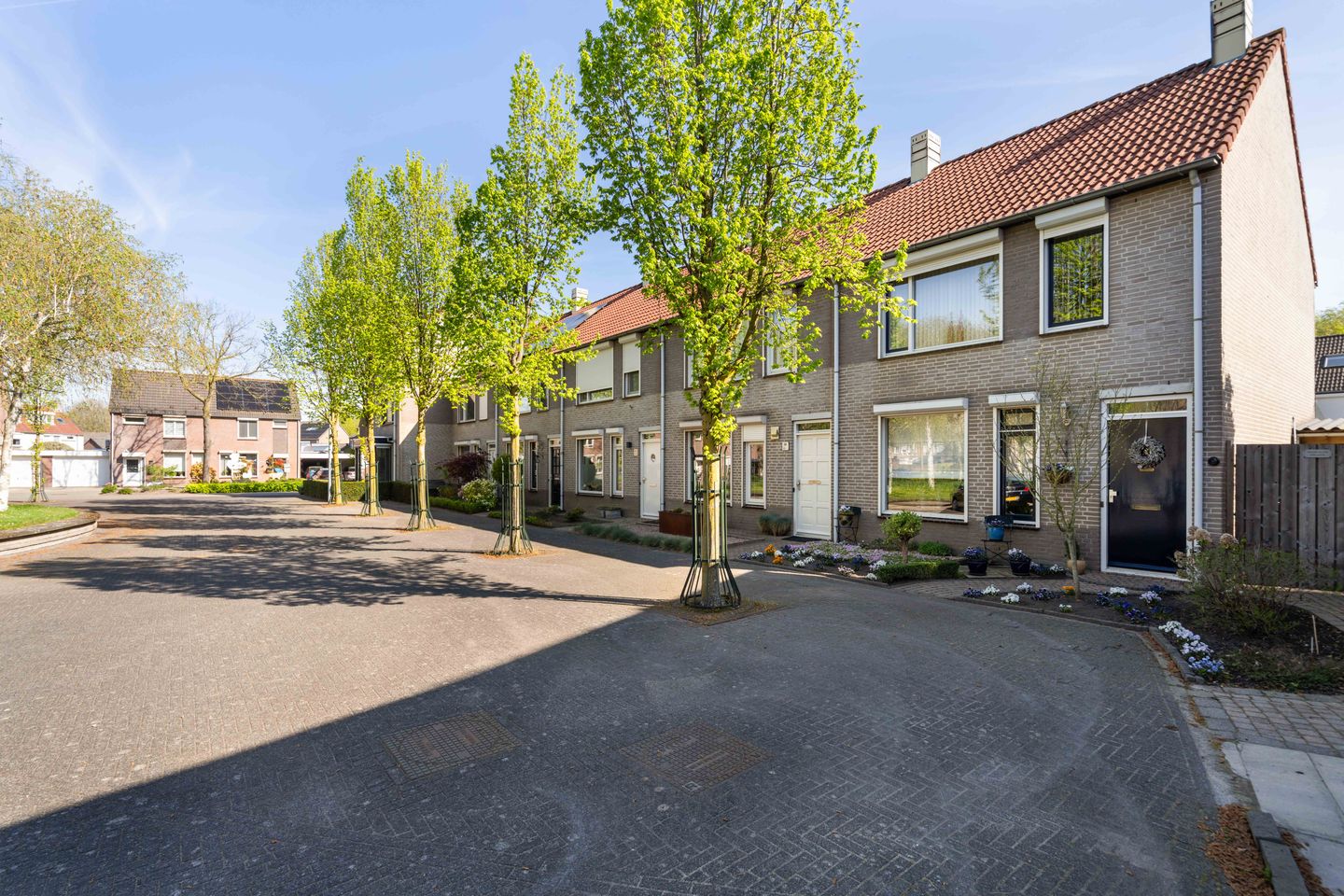 Photo 44 of Kokmeeuw 32
