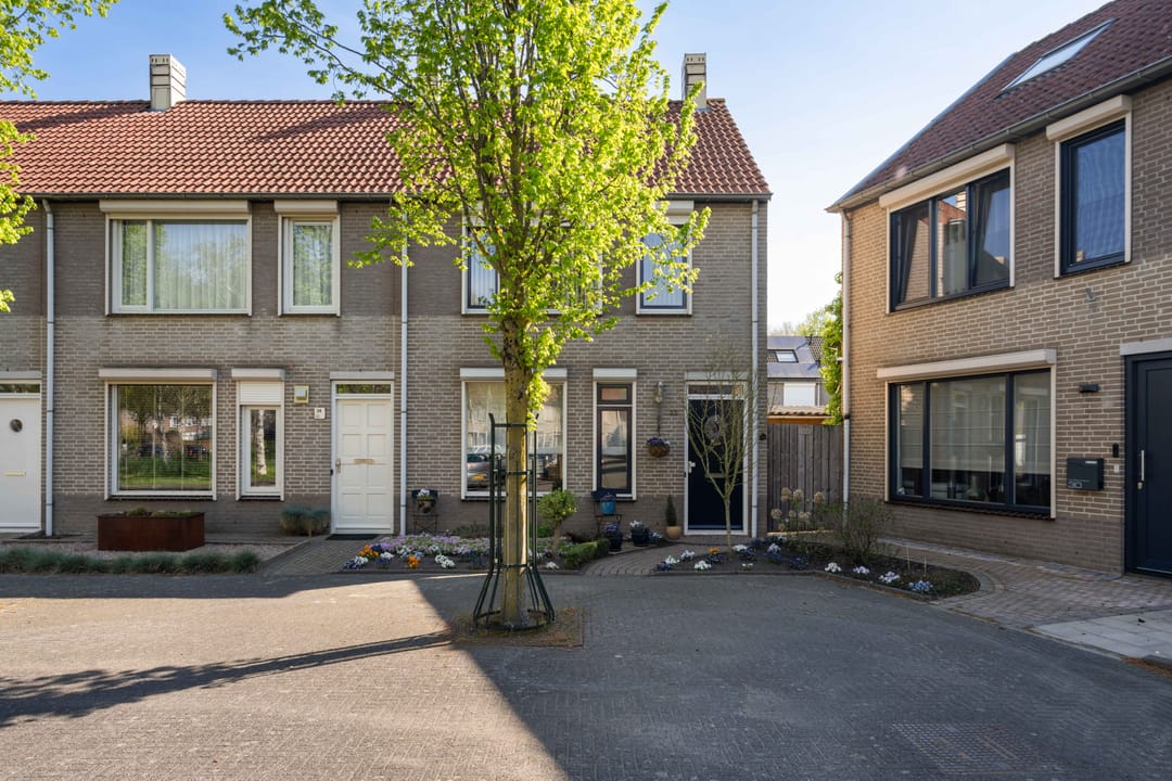 Photo 7 of Kokmeeuw 32