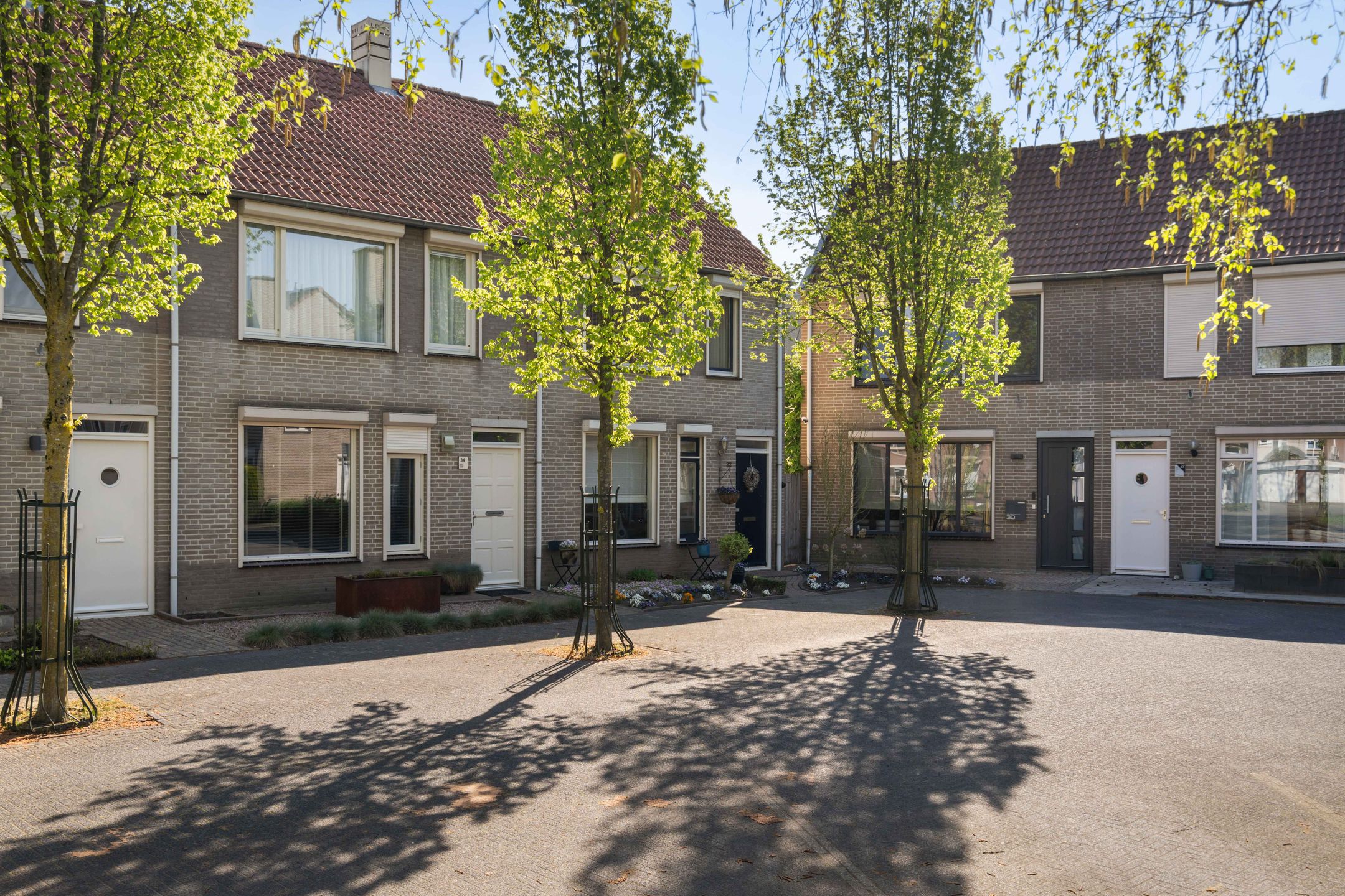 Photo 6 of Kokmeeuw 32
