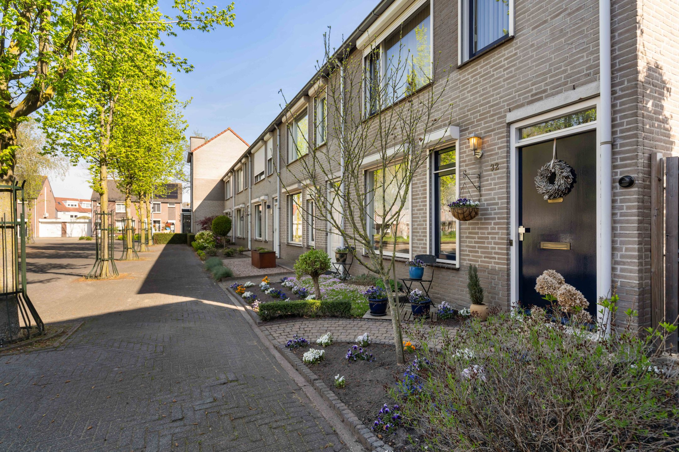 Photo 9 of Kokmeeuw 32