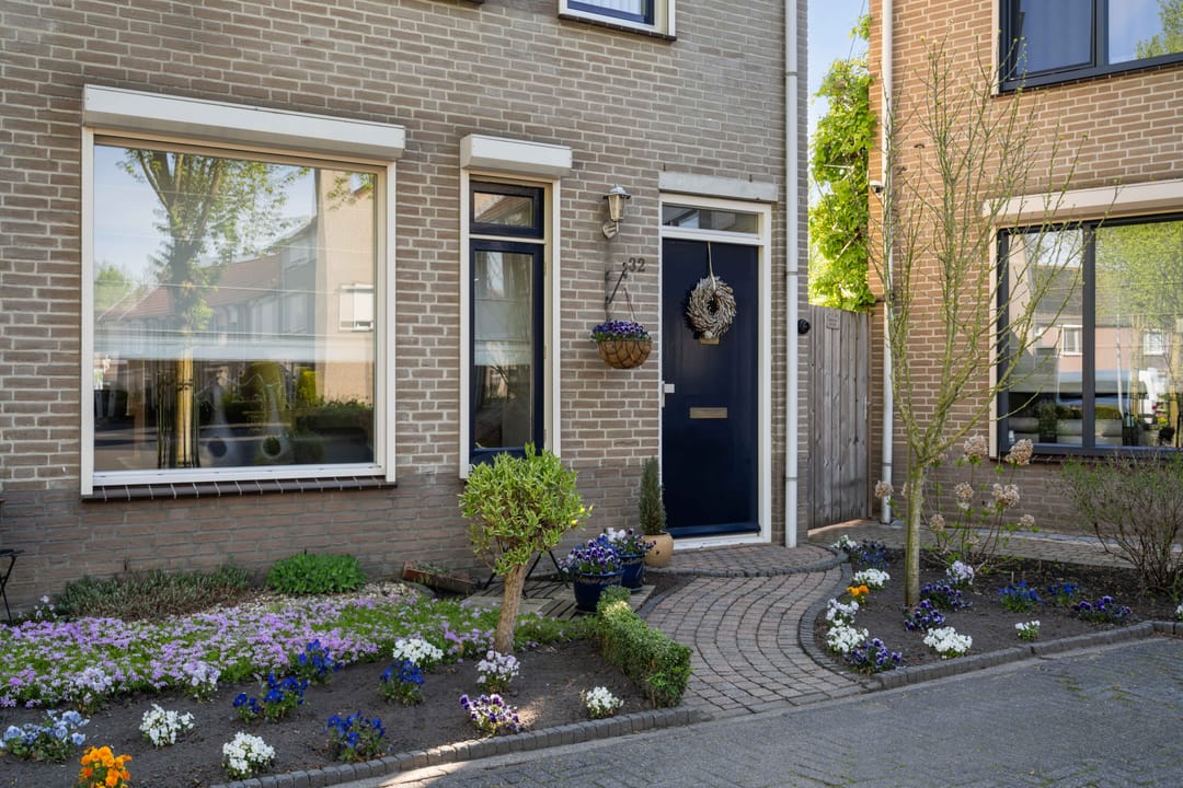 Photo 8 of Kokmeeuw 32