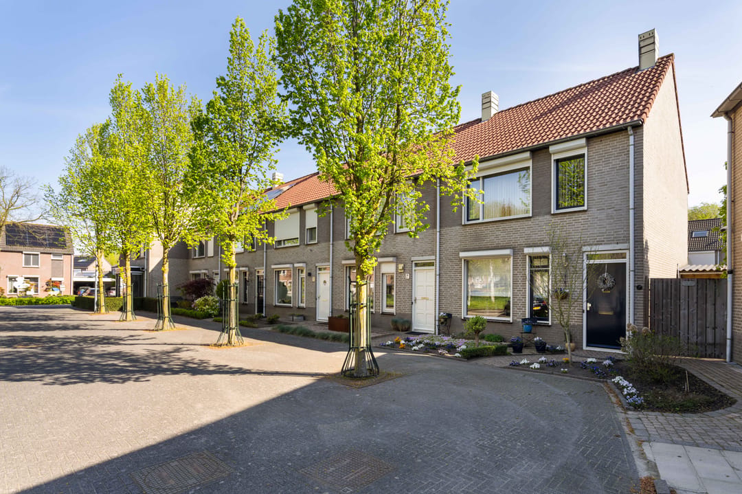 Photo 1 of Kokmeeuw 32