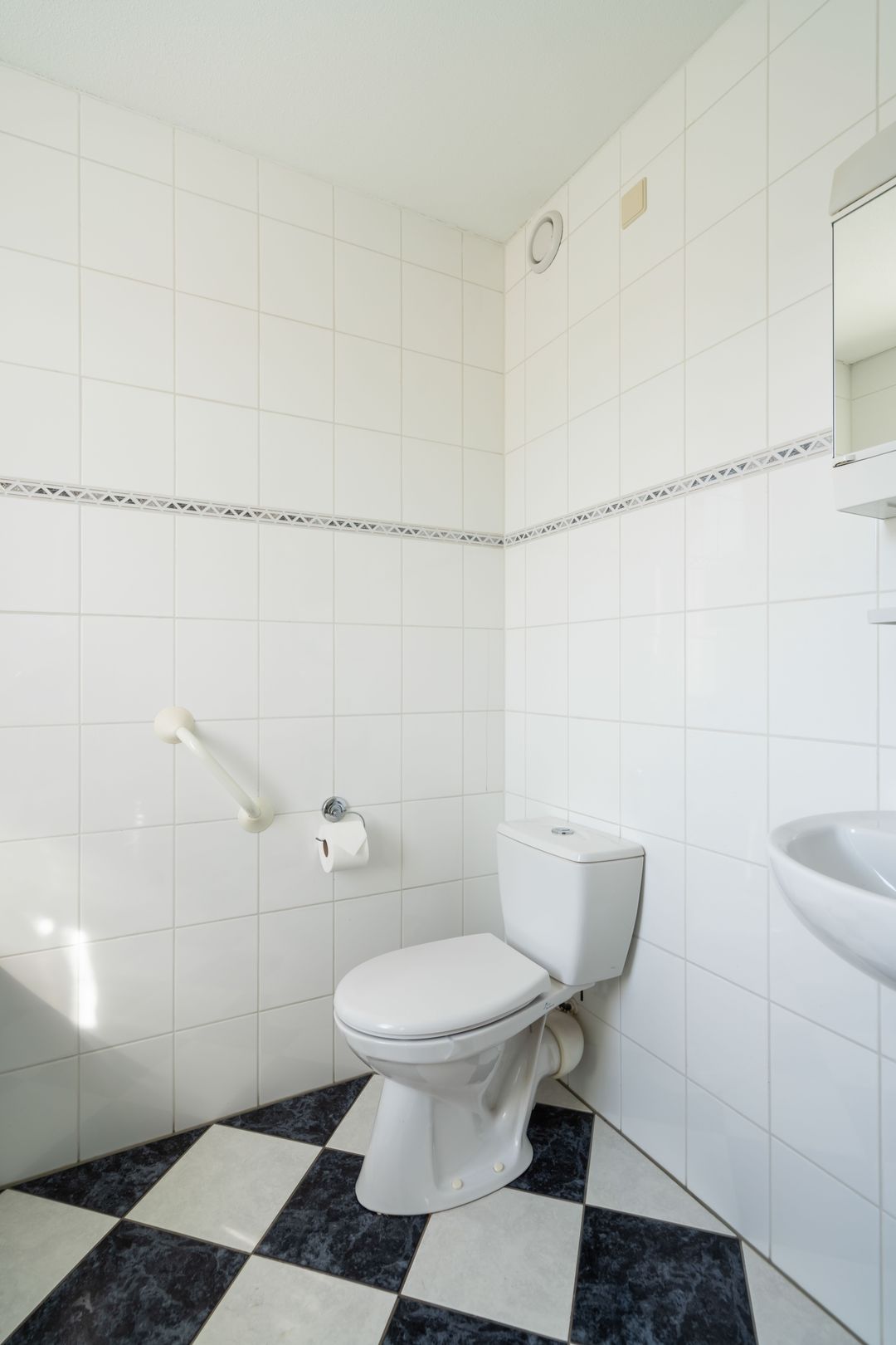 Photo 31 of Kokmeeuw 32