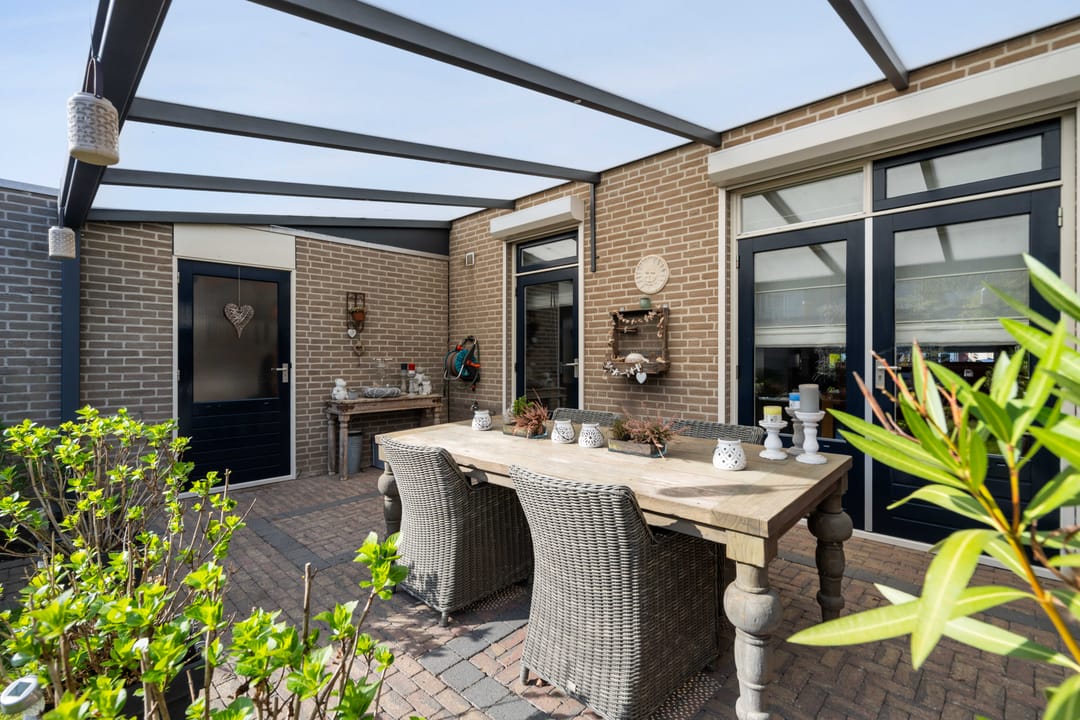 Photo 37 of Kokmeeuw 32